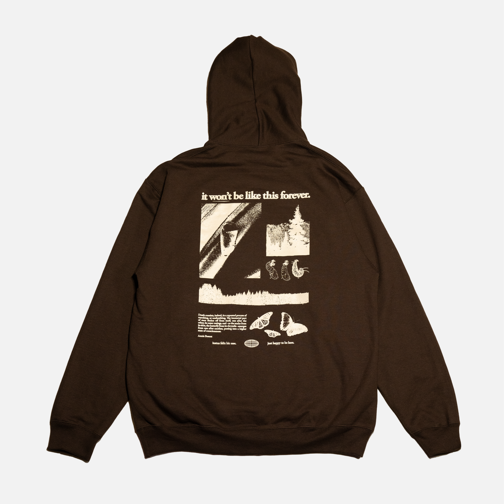 Sometimes I Wish It Could Be Hoodie