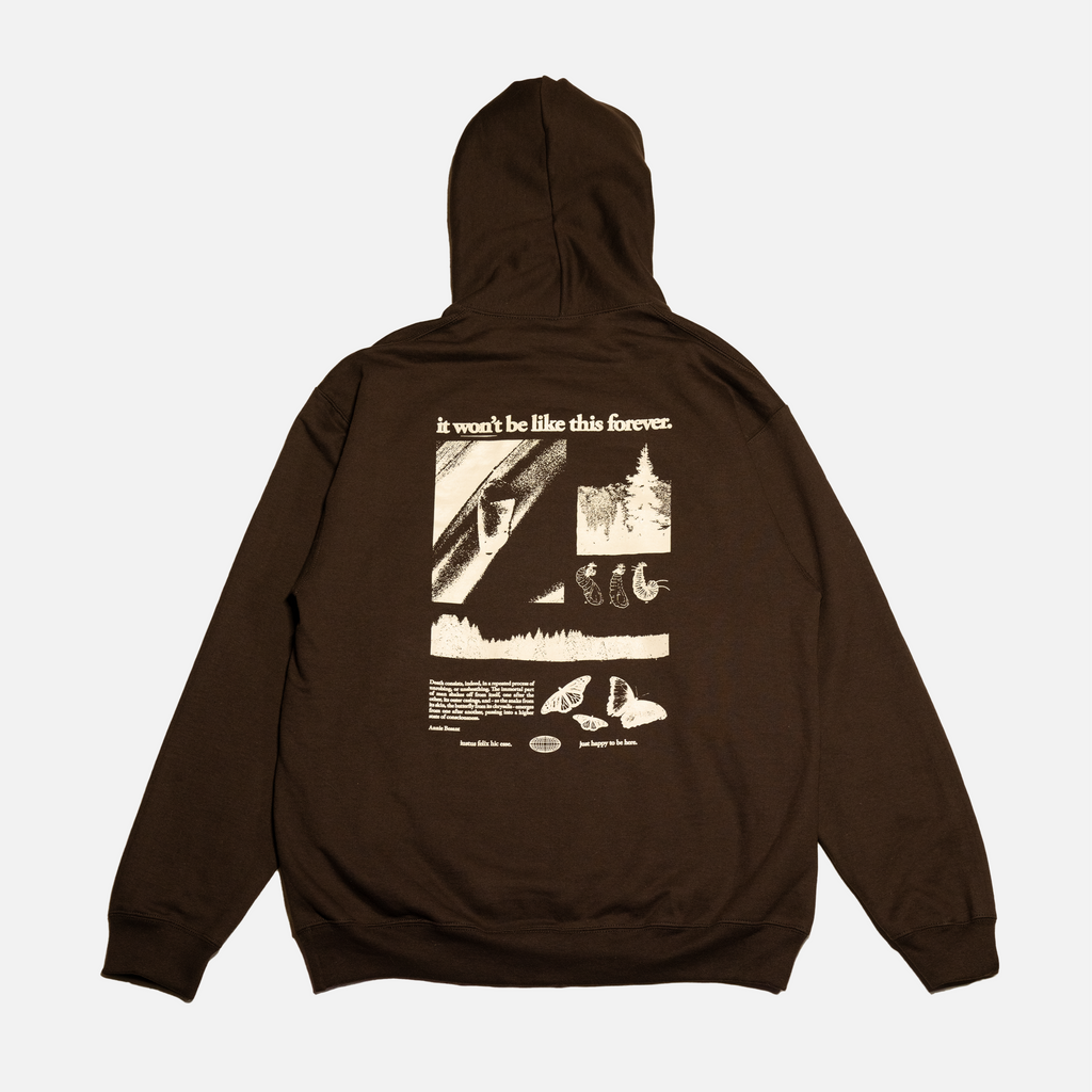 Sometimes I Wish It Could Be Hoodie